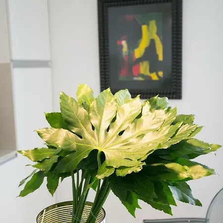 Apartman Downtown Free Parking Lisboa