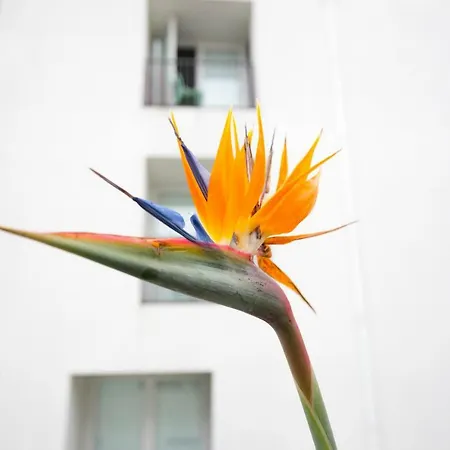 Downtown Free Parking Lissabon