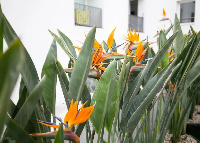 Downtown Free Parking *