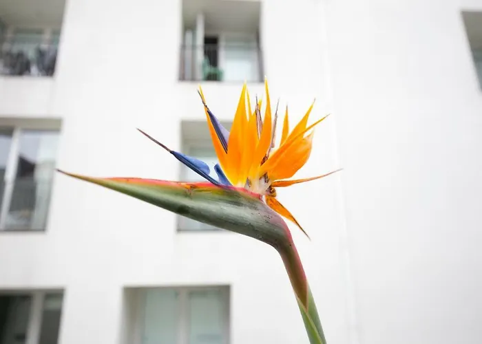 Downtown Free Parking Lisboa