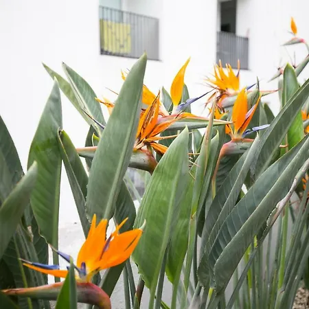 Downtown Free Parking *